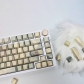 Pine Pavilion 104+4 / 26 PBT Backlit Keycaps Set Cherry Profile for MX Switches Mechanical Gaming Keyboard